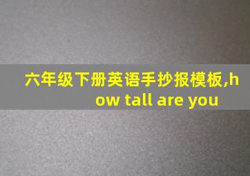 六年级下册英语手抄报模板,how tall are you